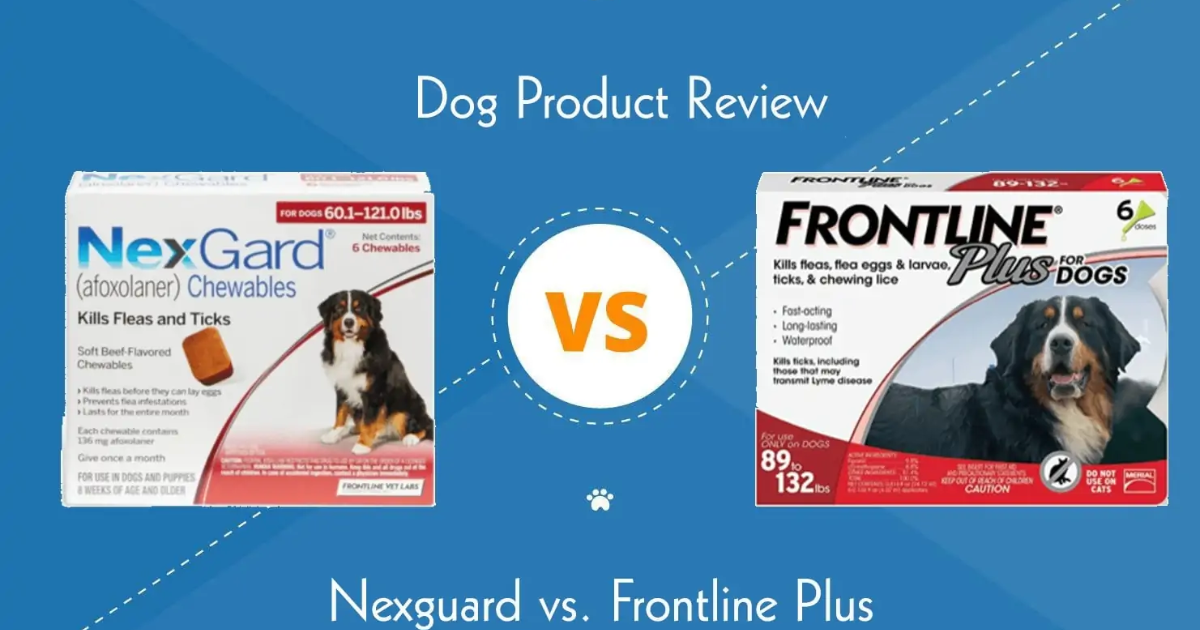 Nexgard And Interceptor Plus Together Comparison: Nexgard vs. Frontline Plus For Flea And Tick Control