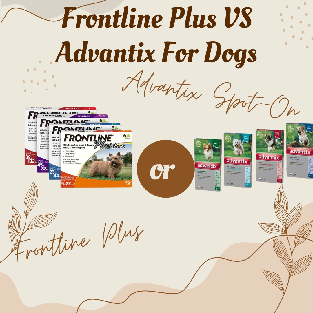 Difference Between Advantix And Frontline Frontline Plus vs. Advantix For Dogs