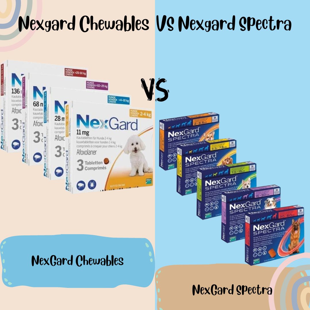 Nexgard Chewables VS Nexgard Spectra
