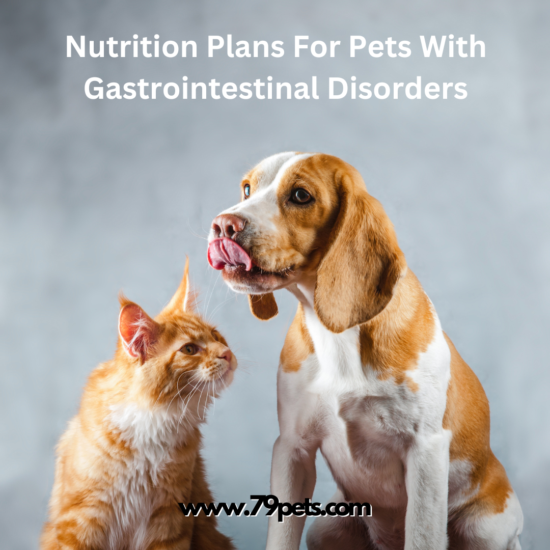 Nutrition Plans For Pets With Gastrointestinal Disorders nutrition-plans-for-pets-with-gastrointestinal-disorders