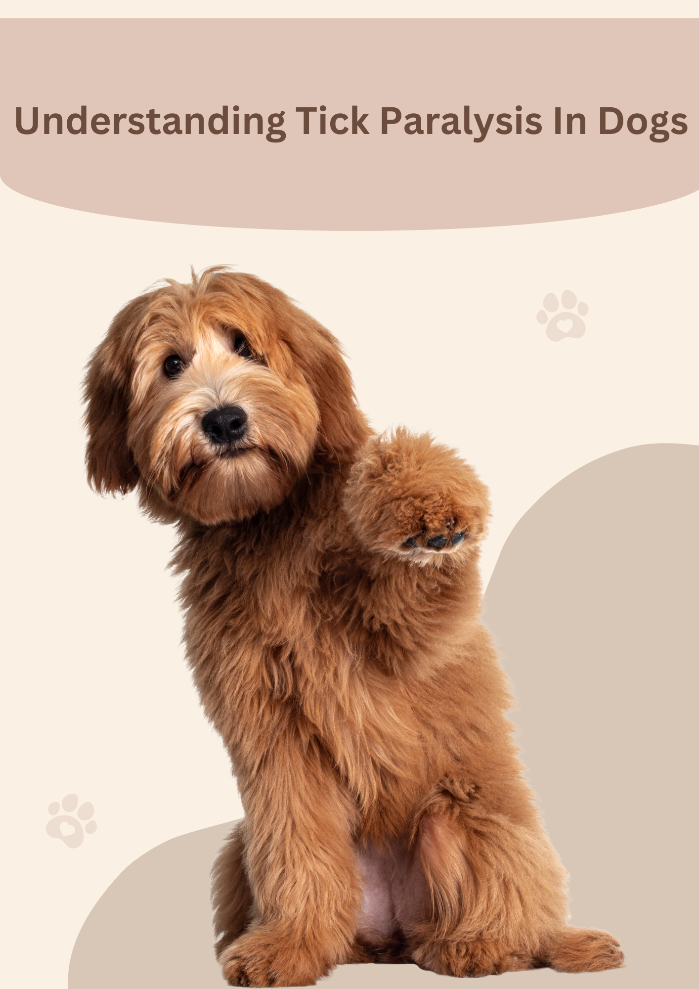 Understanding Tick Paralysis In Dogs