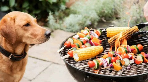 Vegetables Which Are Safe Or Unsafe For Dogs