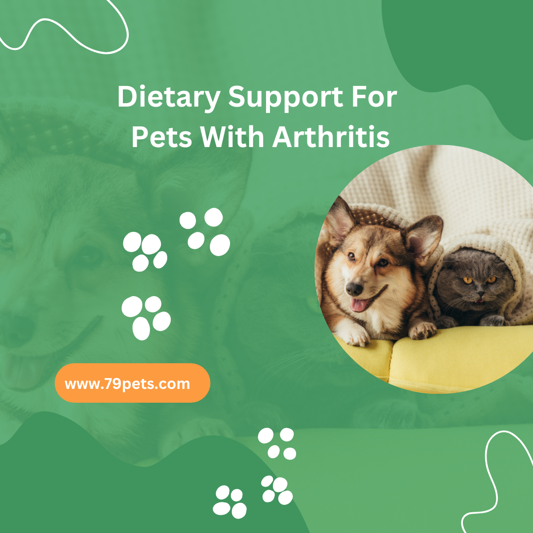 View of Dietary Support For Pets With Arthritis
