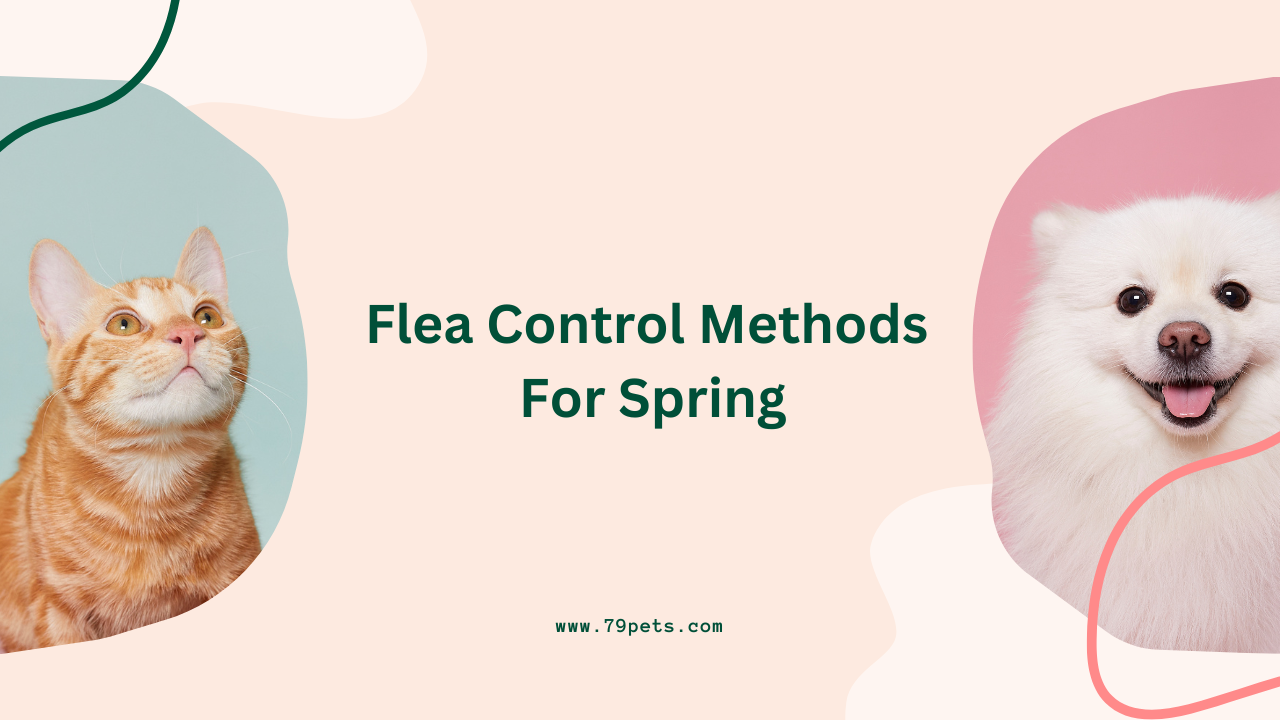 Illustration of Advanced Arthritis Flea Prevention Methods
