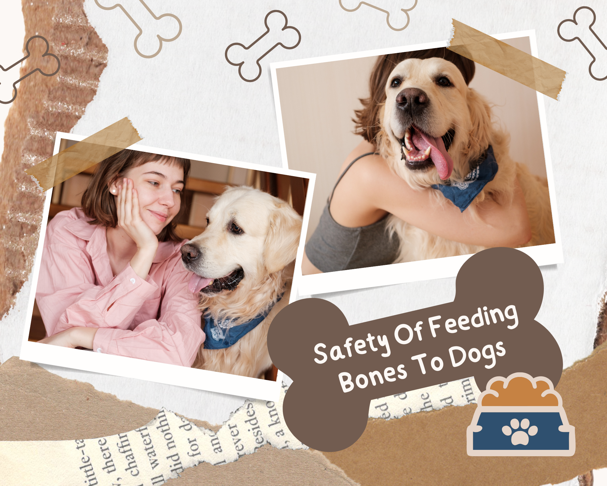 Image showcasing Safety Of Feeding Bones To Dogs