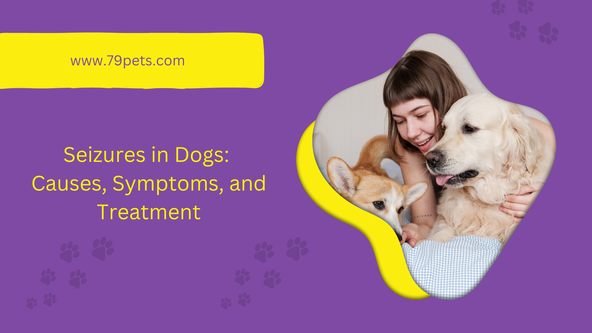 Stunning Seizures In Dogs With Grape Exposure image