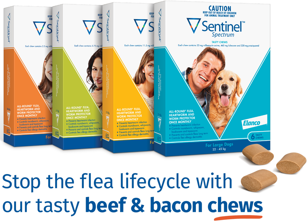 Sentinel Spectrum For Dogs