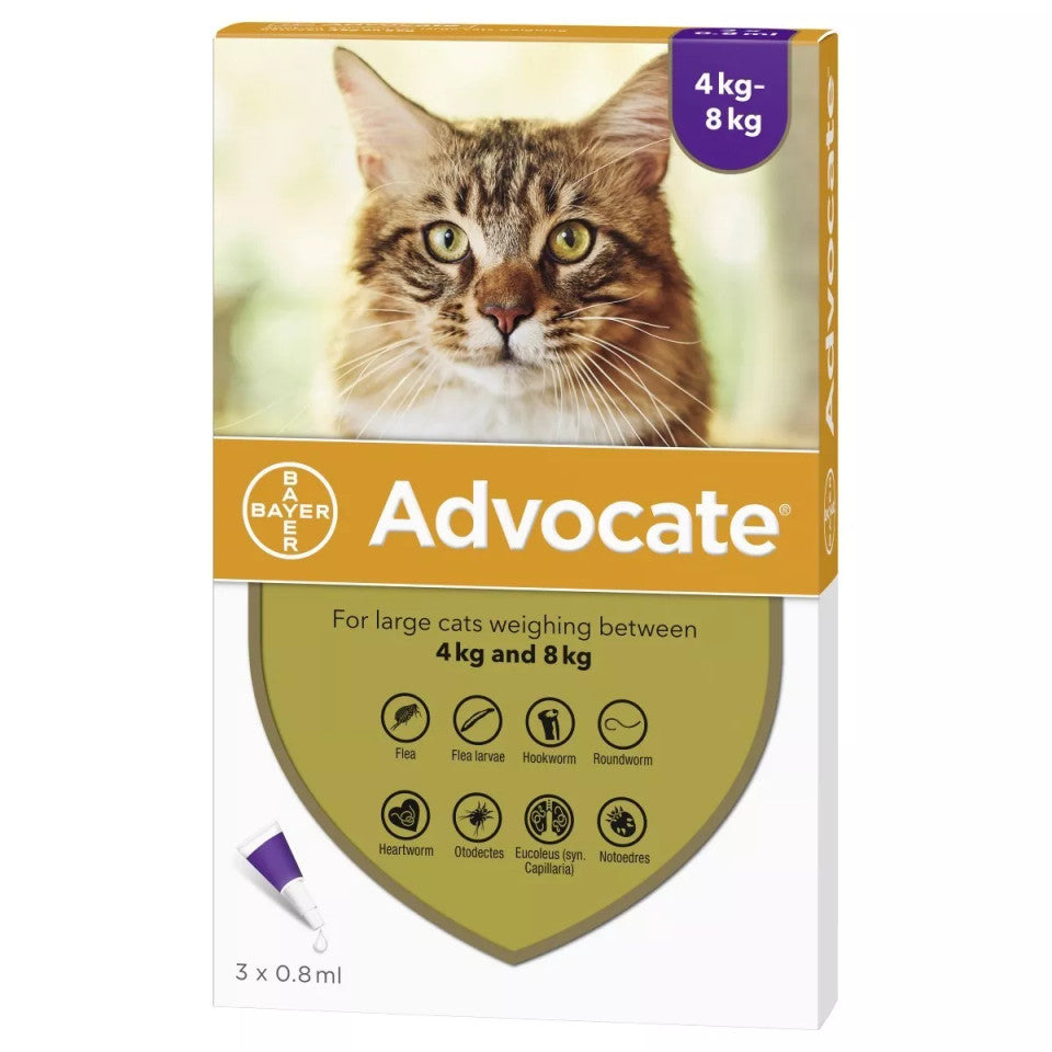 Advocate Flea Heartworm treatment for Large Cats 79PETS