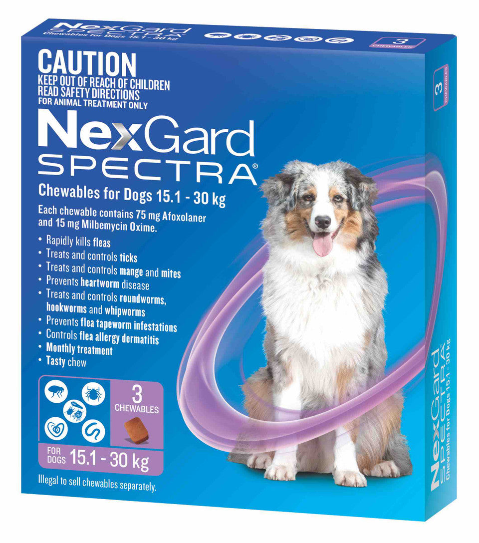 Nexgard Spectra Flea, Tick, Heartworm for Large Dog | 79PETS