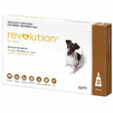 Revolution Brown For Small Dog 10-20lbs (5-10kg)