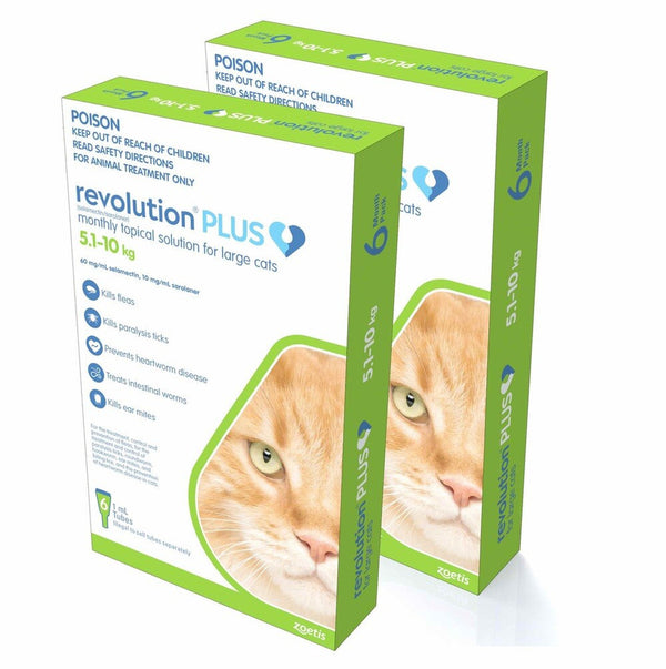 Revolution Plus For Large Cats 11.1-22lbs (5-10kg)
