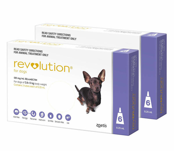 Revolution Purple For Very Small Dog 5-10lbs (2.5-5kg)