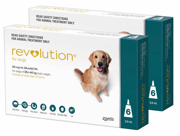 Revolution Teal For Large Dog 44-88lbs (20-40kg)