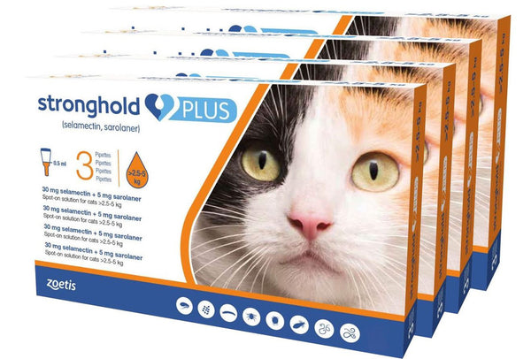 Stronghold Plus For Medium Cats 5.5 lbs to 11 lbs (2.5-5kg)