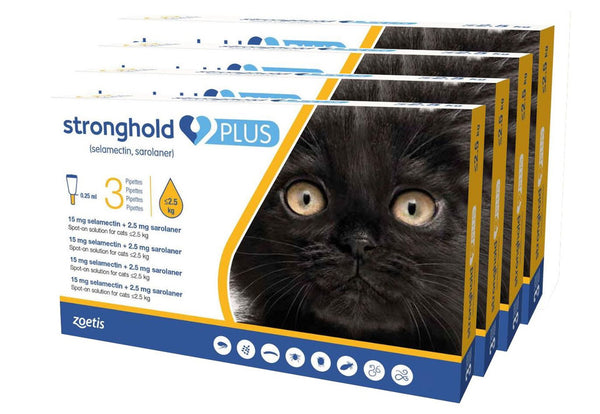 Stronghold Plus For Small Cats Upto 5.5 lbs (2.5kg)