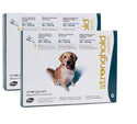 Stronghold Teal For Dogs 44-88lbs (20-40kg)
