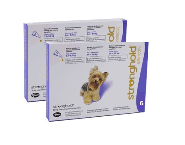 Stronghold Violet For Dogs 5-10lbs (2.6-5kg)