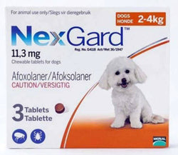 Nexgard Orange for Very Small Dogs Flea & Tick 4-10 lbs (2-4kg) | 79Pets.com
