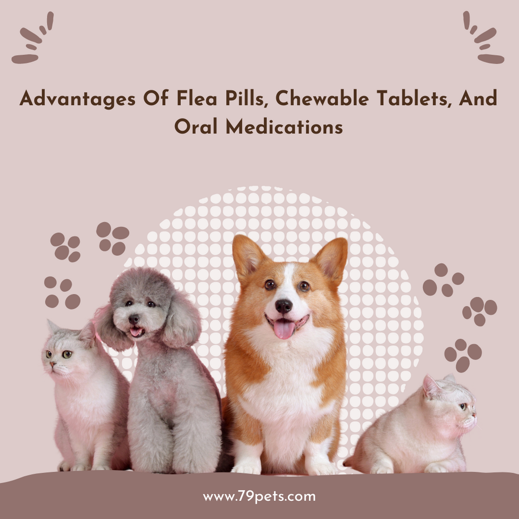 Advantages Of Flea Pills Chewable Tablets And Oral Medications