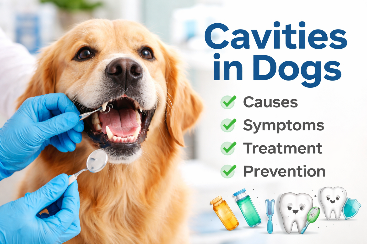 Cavities in Dogs: Causes, Symptoms, Treatment, and Prevention