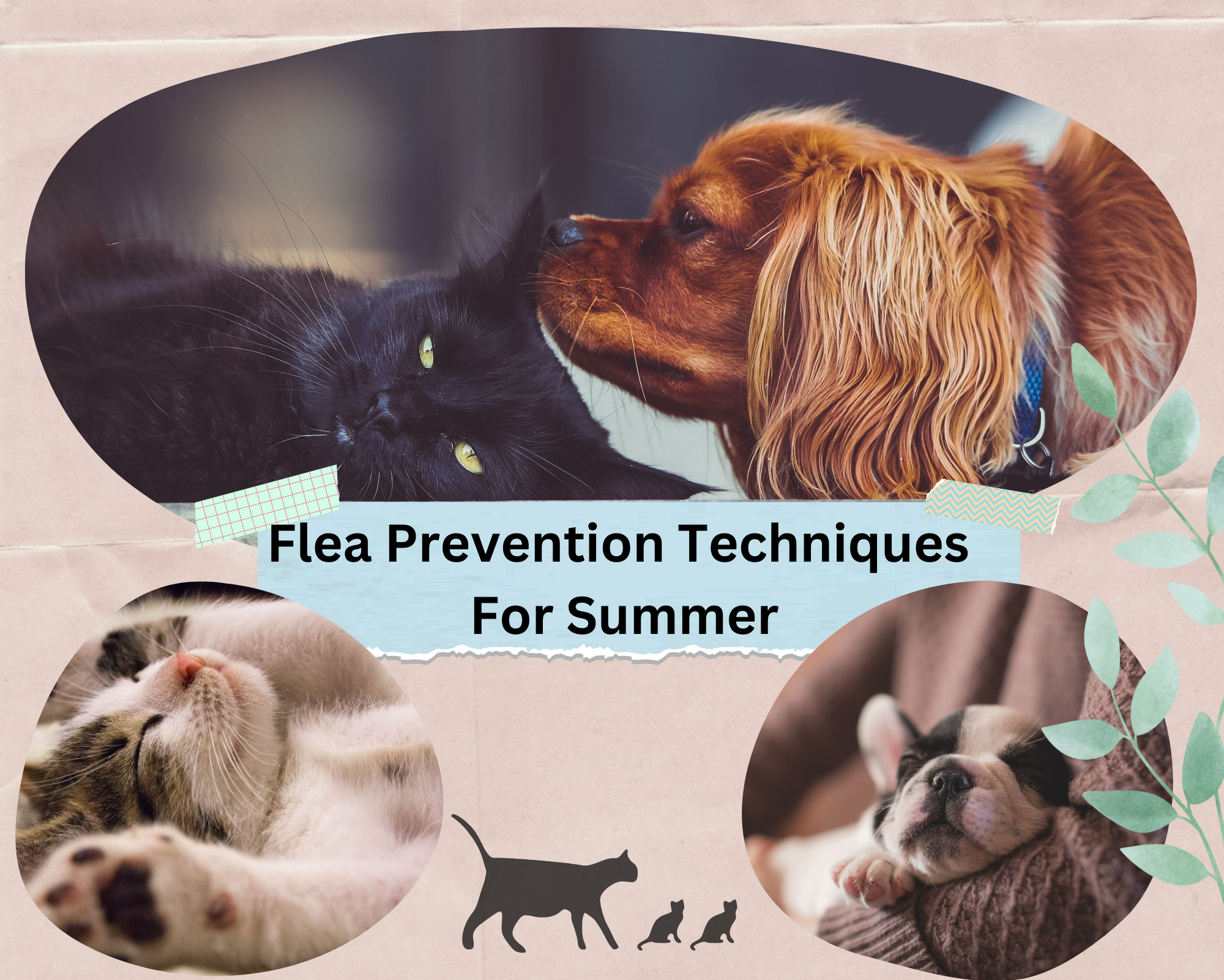 Flea Prevention Techniques For Summer