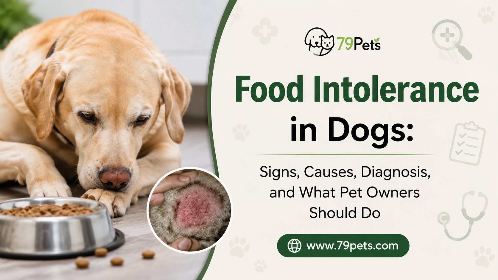 Food Intolerance in Dogs: Signs, Causes & Treatment