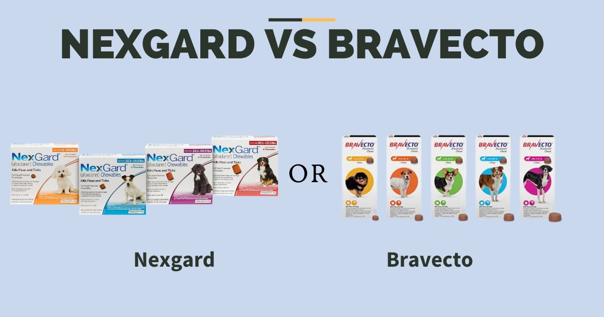 Nexgard vs bravecto