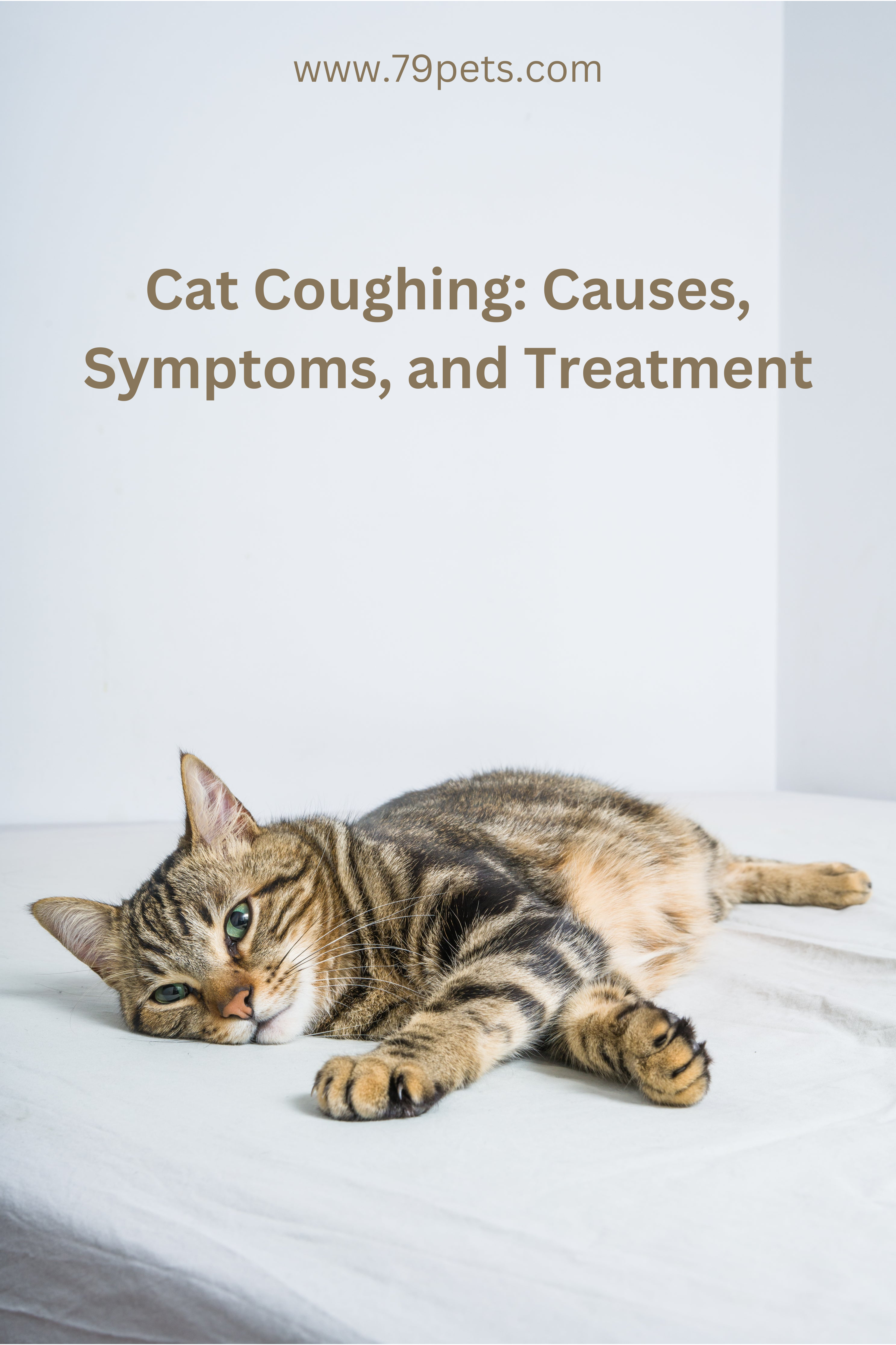Beautiful view of Cat Cough Cancer Symptoms