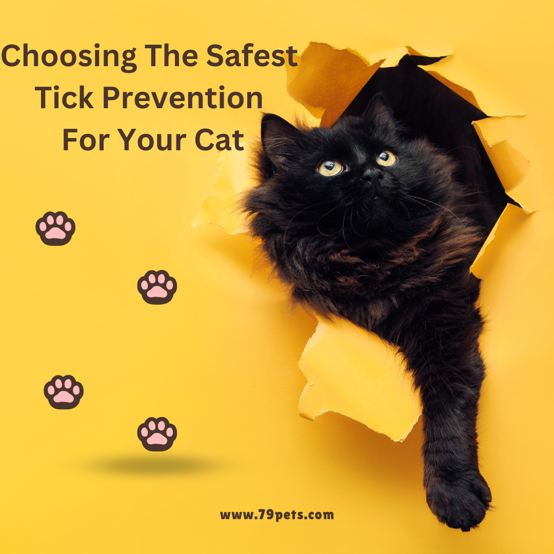 Choosing The Safest Tick Prevention For Your Cat