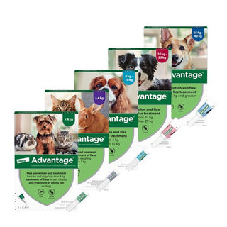 Advantage Spot-On For Cats & Dogs