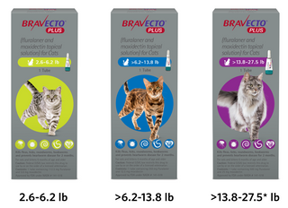 Bravecto Plus For Cats