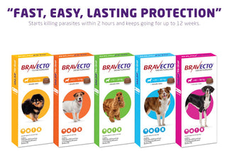 Bravecto Chew For Dogs