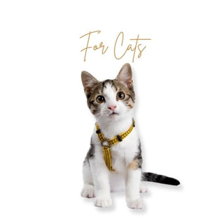 For Cats - 79Pets.com
