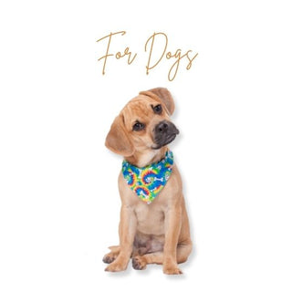 For Dogs - 79Pets.com