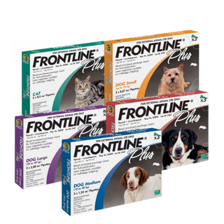 Frontline Plus For Cats & Dogs