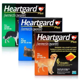 Heartgard Plus Chewable For Dogs