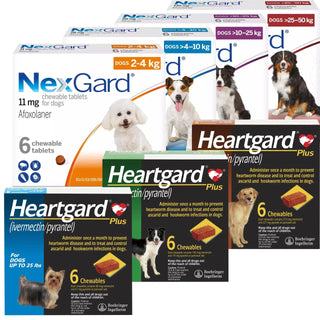 NexGard and Heartgard Plus Combo for Dogs