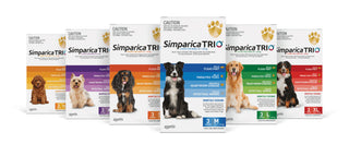 Simparica Chewables For Dogs