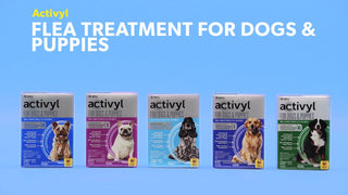 Activyl Flea Control & Tick Treatment