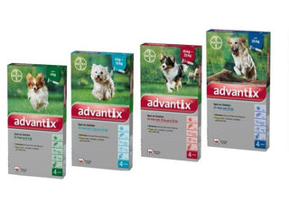 Advantix For Dogs