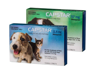 Capstar For Cats & Dogs