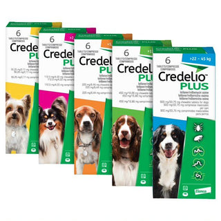 Credelio Plus