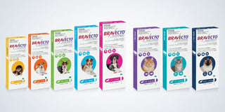 Bravecto Spot on For Cats & Dogs