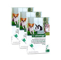 Advantage Green For Small Cats & Small Dogs Under 8.8lbs (<4kg)