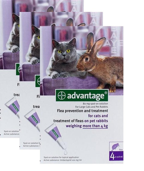 Advantage Purple For Cats Over 8.8lbs (4kg)