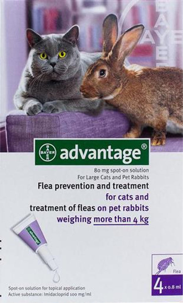 Advantage Purple For Cats Over 8.8lbs (4kg)