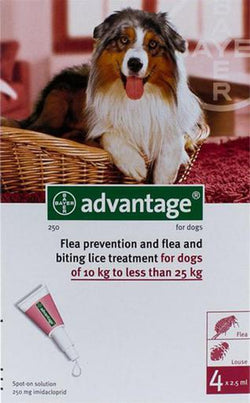 Advantage Red For Large Dogs 22-55lbs (10-25kg)