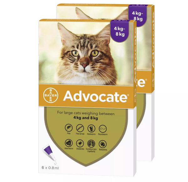 Advocate Flea Heartworm treatment for Large Cats 79PETS