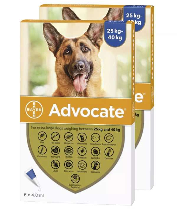 Advocate (Advantage Multi) For Extra Large Dog 55-88lbs (25-40kg)