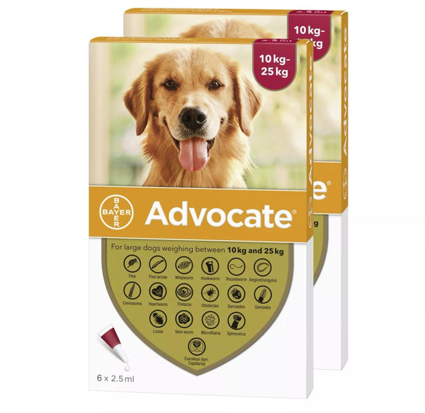 Advocate (Advantage Multi) For Large Dog 22-55lbs (10-25kg)